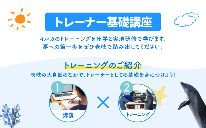 ベーシック・ドルフィントレーナー・プログラム 《壱岐市》【壱岐イルカパーク＆リゾート】[JBF003] 220000 220000円 22万円 体験