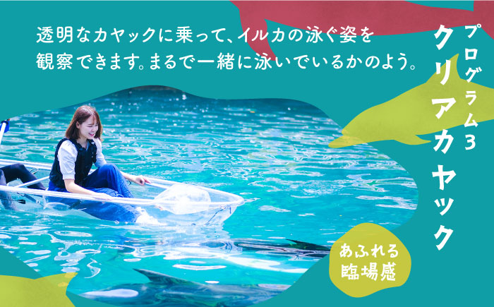 イルカふれあいエンジョイパック 1名様分 [JBF033]  長崎県 長崎 壱岐市 壱岐 体験 アクティビティ 30000 30000円 3万円