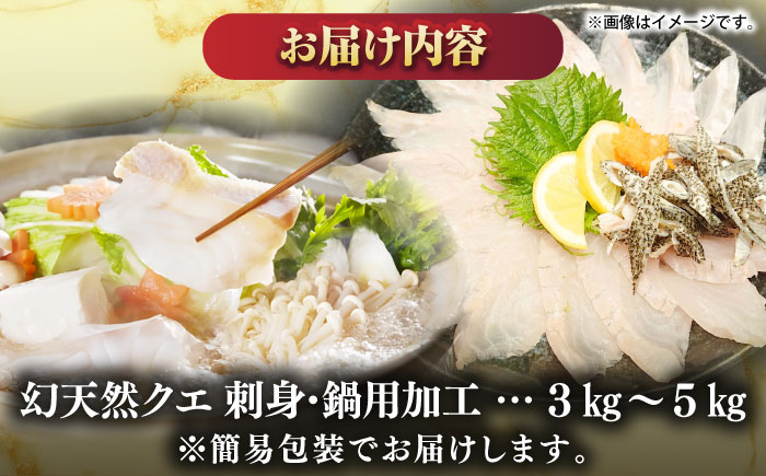 壱岐産　幻天然クエ　刺身・鍋加工　3kg～5kg《壱岐市》 【みやげ処 縁由】 [JBJ016]
