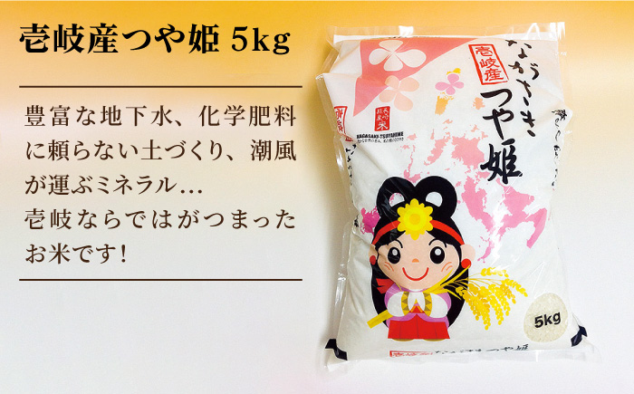 《A4～A5ランク》壱岐牛バラ焼肉・壱岐産米・野菜セット (バラ200g/米5kg/野菜5品)[JBO040]