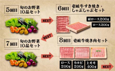 【全12回定期便】《A4～A5ランク》壱岐牛と旬の野菜定期便《壱岐市》【壱岐市農業協同組合】 [JBO079] 《A4～A5ランク》 肉 黒毛和牛 野菜 旬 詰め合わせ 贅沢 BBQ 315000円