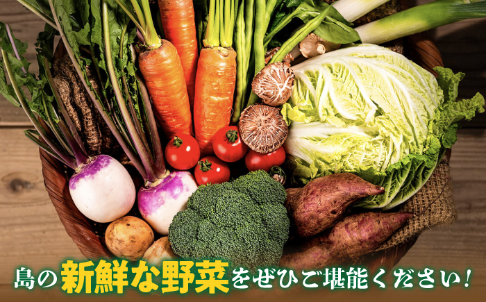 【全2回定期便】旬の野菜セット 7品《壱岐市》【壱岐市農業協同組合】季節 健康 栄養 やさい 詰め合わせ [JBO131] 20000 20000円