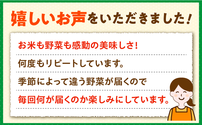 【全2回定期便】壱岐産米（つや姫）5kg・旬の野菜 5品《壱岐市》【壱岐市農業協同組合】お米 季節 セット ごはん [JBO132] 46000 46000円