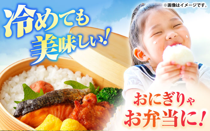 壱岐産米 にこまる 10kg《壱岐市》[JBO144]