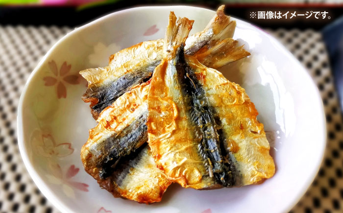 壱岐の海の幸 干物セット《壱岐市》【壱岐市農業協同組合】あじ アジ 鯵 かます カマス いか イカ 烏賊 干物 ひもの 干物セット 冷凍配送 [JBO153]