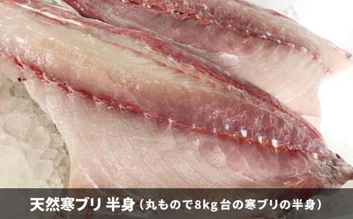 【お歳暮対象】【年内発送】【11/1～1/15お届け 年末年始用】壱岐島産天然寒ブリ（一本丸ものサイズ8キロ台 半身ブロック）《壱岐市》【壱岐島 玄海屋】 [JBS103] 118000 118000円