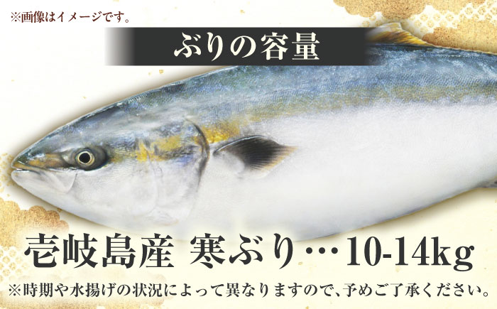 ブリの出張解体ショー《壱岐市》【壱岐島 玄海屋】 [JBS128] 1500000 1500000円 150万円