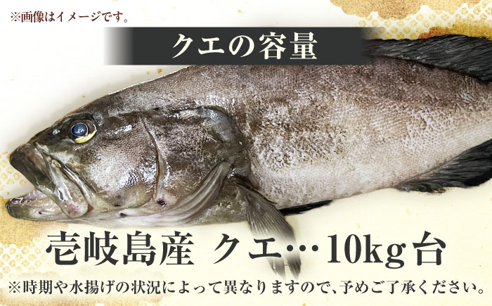 クエの出張解体ショー《壱岐市》【壱岐島 玄海屋】 [JBS129] 2000000 2000000円 200万円