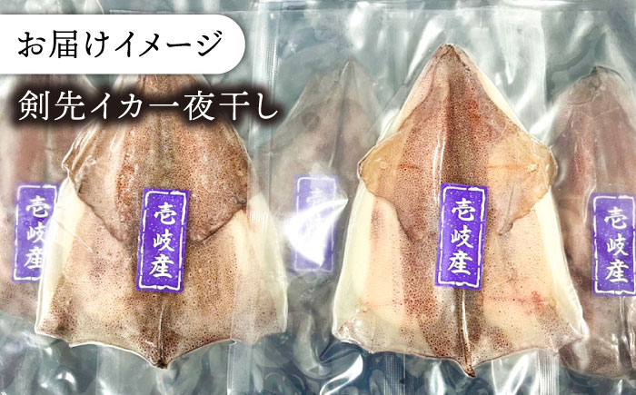 ケンサキイカ 刺身 & 一夜干し セット 剣先イカ 烏賊 《壱岐市》 【一支國屋】 おつまみ フィレ [JCC009] 20000 20000円