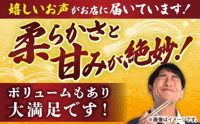 【冷凍】アオリイカ 刺身用 1kg　水烏賊 《壱岐市》 【一支國屋】海鮮 烏賊 イカ いか アオリイカ 冷凍配送 [JCC020]