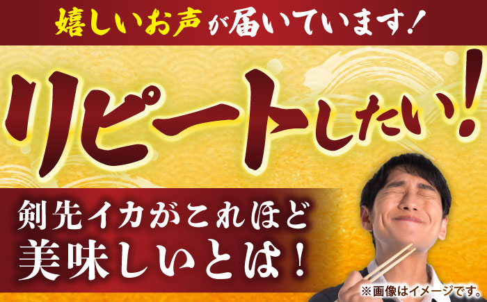 【冷凍】剣先イカ 刺身用 1kg　剣先烏賊 《壱岐市》 【一支國屋】海鮮 烏賊 イカ いか 剣先イカ 冷凍配送 [JCC021]