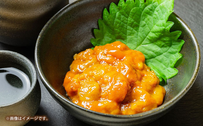 【冷凍】壱岐産うに丼セット　40g×5食　《壱岐市》　【一支國屋】 [JCC022]