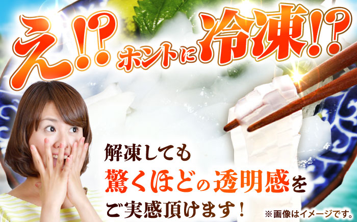 【冷凍】剣先イカ 刺身用 500g　剣先烏賊 《壱岐市》 【一支國屋】海鮮 烏賊 イカ いか 刺身 刺し身 お刺身 剣先イカ 冷凍配送 [JCC024]