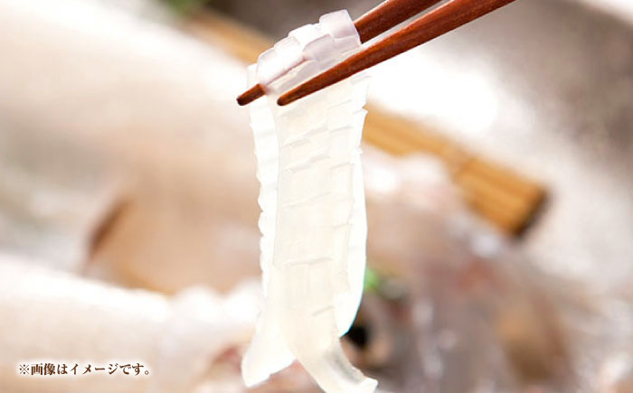 【2回定期便】 壱岐産 うに丼セット アオリイカ 月替わり 定期便 《壱岐市》 【一支國屋】海鮮 うに うに丼 いか イカ アオリイカ 刺身 お刺身 冷凍配送 [JCC026]