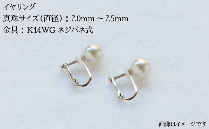 真珠 ネックレス イヤリング セット 《壱岐市》【上村真珠】[JCE001] 400000 400000円 40万円 アクセサリー