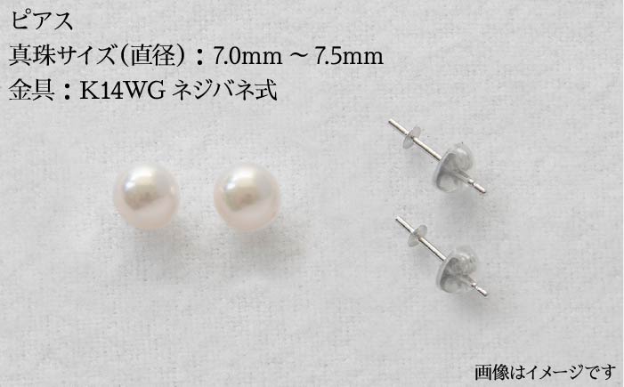 真珠 ネックレス ピアス セット 《壱岐市》【上村真珠】[JCE002] 400000 400000円 40万円 アクセサリー