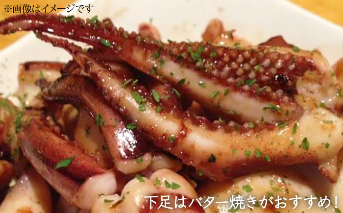 アオリイカ 1,500g前後 《壱岐市》【ヤマグチ】[JCG019] いか あおりいか 28000 28000円