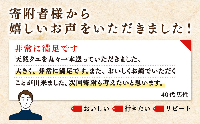 【12月～翌年1月限定】 天然 クエ 丸もの 1本 2～3kg（鍋・刺身4～5人用） 《壱岐市》【丸和水産】 [JCJ023] 82000 82000円