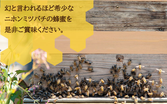 ニホンミツバチ 生蜂蜜 600g×1 《壱岐市》【憲ちゃんハチミツ】[JCL001] はちみつ 蜂蜜 日本蜜蜂 30000 30000円