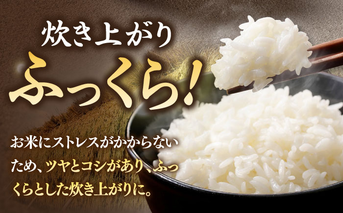 【全12回定期便】【R6年度産】天日自然乾燥米 こしひかり  5kg  《壱岐市》【長米】[JCZ006]  米 ごはん ご飯 こしひかり 120000 120000円