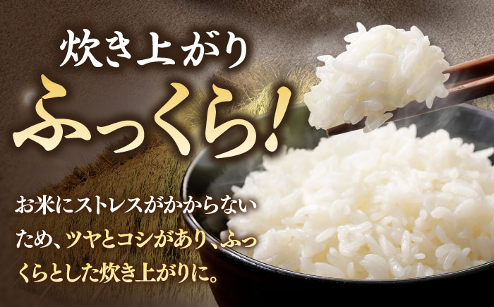 【全12回定期便】【R6年度産】 天日自然乾燥米 にこまる 5kg《壱岐市》【長米】[JCZ012] 120000 120000円 米 お米 白米 精米 ご飯 ごはん 5キロ 15kg 15キロ かけ干し