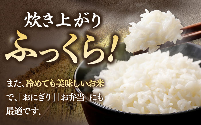 【R6年度産】こしひかり 5kg《壱岐市》 【長米壱岐営業所】[JCZ021] ごはん ご飯 こしひかり コシヒカリ 17000 17000円
