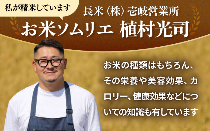 【全3回定期便】 壱岐産米 つや姫（特別栽培米）1等米  10kg 《壱岐市》【長米壱岐営業所】 [JCZ030]