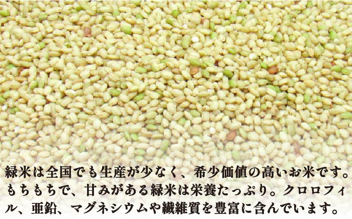 古代米 計3kg (3種各1kg) 原の辻遺跡《壱岐市》【天下御免】 [JDB126] 17000 17000円