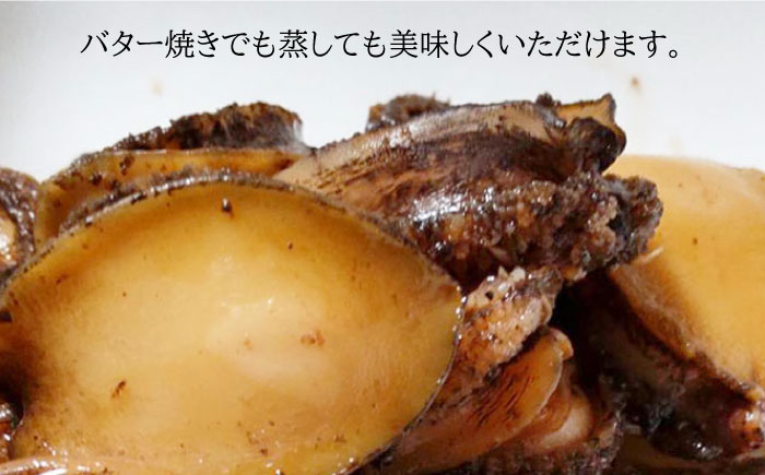 あわび 活き！壱岐！養殖アワビ 約 500g (約 50g × 10枚)【住吉水産】 [JDQ001] 鮑 アワビ 海鮮 18000 18000円