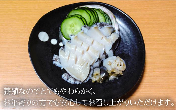 国産養殖アワビ 活き！壱岐！アワビ（約480g） 約80g×6枚 [JDQ002] あわび 鮑 BBQ 23000 23000円