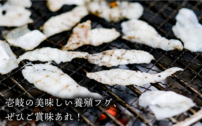 焼きふぐ 40g×2パック《壱岐市》【株式会社なかはら】 ふぐ 河豚 とらふぐ トラフグ 焼きふぐ 焼ふぐ おつまみ 肴 ツマミ 13000 13000円 [JDT078]