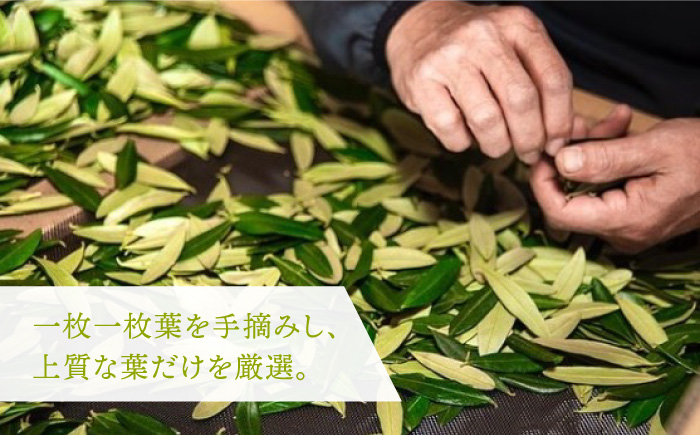 【年内発送】オリーブリーフパウダー 《壱岐市》【壱岐オリーブ園】[JDU003] 12000 12000円