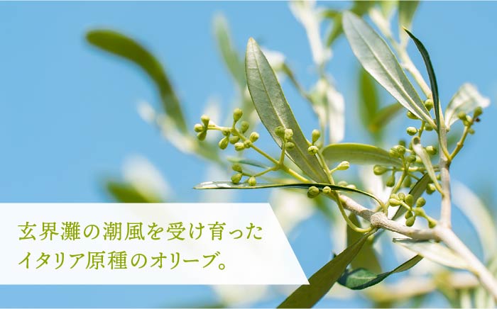 【数量限定】オリーブの新漬け（100g × 3袋） [JDU008] オリーブ おつまみ  17000 17000円