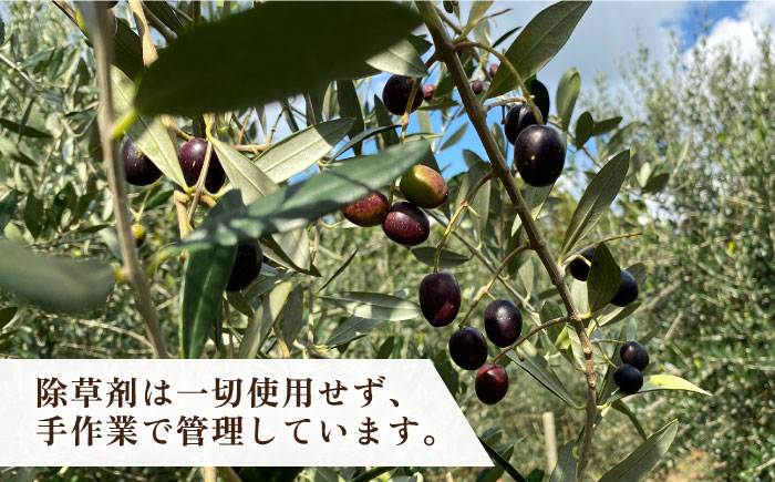 【年内発送】ikicael ハンドクリーム 50g 《壱岐市》【壱岐オリーブ園】 ギフト プチギフト 保湿 [JDU020] 12000 12000円