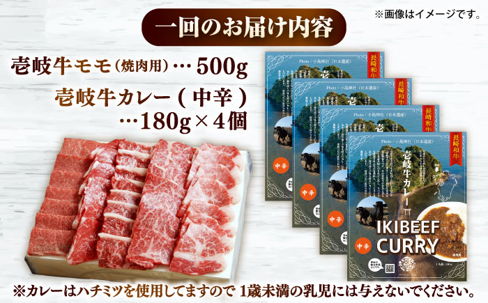 【全3回定期便】壱岐牛モモ＆壱岐牛カレー中辛セット《壱岐市》【壱岐フードファクトリー】カレー モモ 焼き肉 壱岐牛 [JDW131]