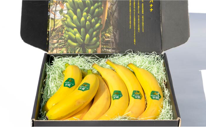 皮ごと食べられる！壱岐王様バナナ 1kg（5-7本程度） [JEL001] 35000 35000円