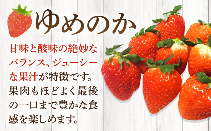 【ジャム用】ゆめのか（小玉・中玉） 1kg 《壱岐市》【Strawberry Gang】[JEM007] セット いちご イチゴ 苺 果物 フルーツ スムージー お菓子作り ジャム 材料 13000 13000円