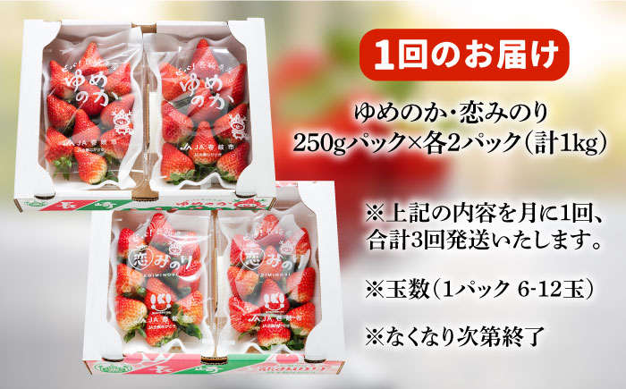 【先行予約】【全3回定期便】いちご イチゴ 苺 ゆめのか 恋みのり 計 1kg「ゆめ恋セット」 （250g × 4パック）【2026年2月以降順次発送】《壱岐市》【蒼花】 [JEO003] 45000 45000円