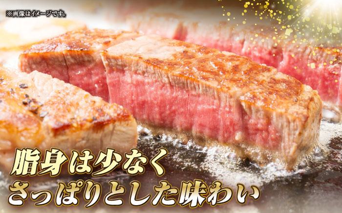 長崎和牛 ヒレ ステーキ 200g×2 《壱岐市》【KRAZY MEAT】 A5 A4 冷凍 和牛 肉 牛肉 BBQ 詰め合わせ 贈り物 [JER099]