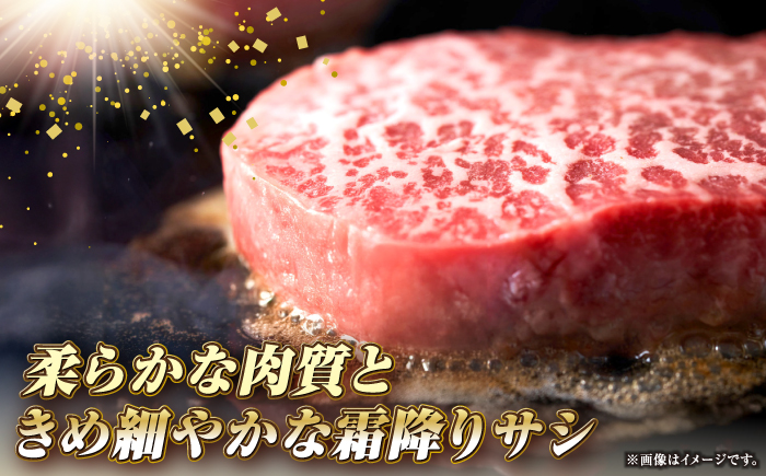【全12回定期便】長崎和牛 サーロイン ステーキ 250g×2 《壱岐市》【KRAZY MEAT】 A5 A4 冷凍 和牛 肉 牛肉 BBQ [JER123] 500000 500000円 50万円