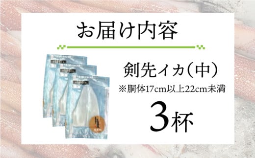 剣先イカ 刺身 （中） 3杯 《壱岐市》【株式会社マルショウ】 いか イカ 剣先いか セット おつまみ のし ギフト [JEW003] 15000 15000円