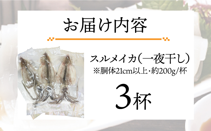 スルメイカ 一夜干し （大）3杯 《壱岐市》【株式会社マルショウ】 いか スルメ おつまみ [JEW010] 13000 13000円
