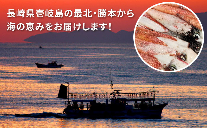 イカブタバーク 6個（120g/個）《壱岐市》【株式会社マルショウ】 いか 烏賊 ハンバーグ 惣菜 冷凍 お弁当 ミンチ [JEW012]