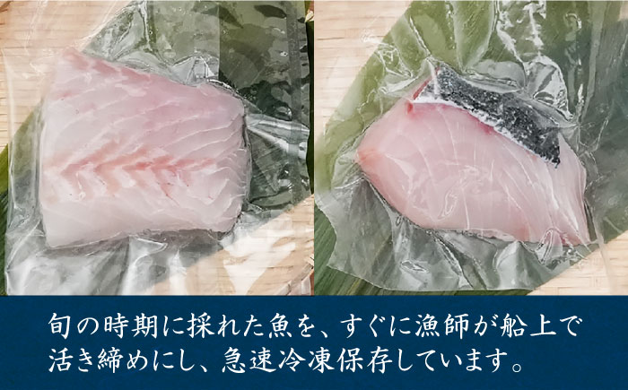 【ANA限定】ヒラマサ、クエ 4人前 壱岐玄海船団丸の魚（切り身）セット・食べ比べ ～ANAシェフ和食レシピ付き～ [JFC003]