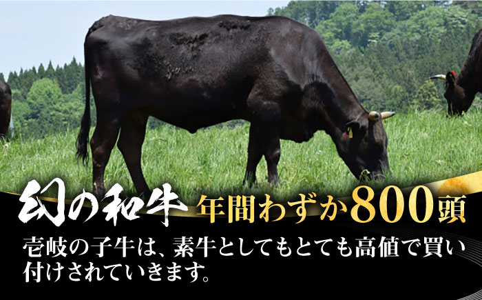 【全3回定期便】 壱岐牛 ロースブロック 500g《壱岐市》【株式会社イチヤマ】 肉 牛肉 ロース ブロック ステーキ BBQ [JFE025] 93000 93000円