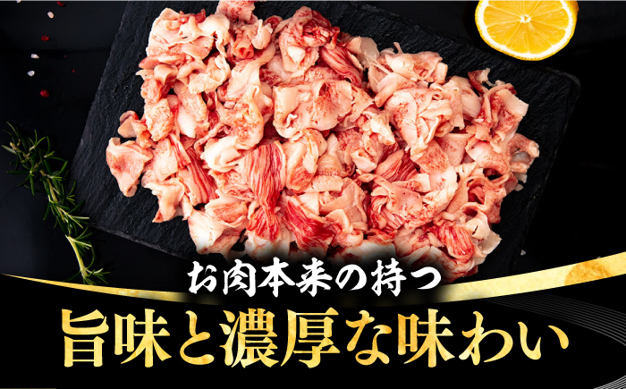 【全2回定期便】 壱岐牛 こま切れ （バラ） 1kg《壱岐市》【株式会社イチヤマ】 肉 牛肉 細切れ 小間切れ BBQ 焼肉 [JFE121]