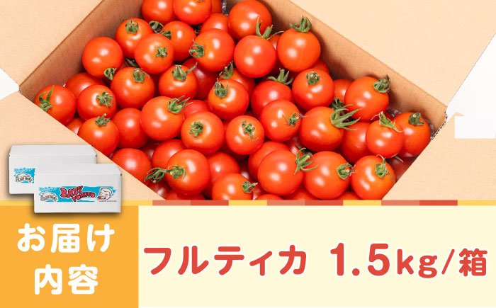ミディアムトマト バラ 3kg（1.5kg×2箱）《壱岐市》【ISLAND FARM】 トマト 生鮮 野菜 夏 22000 22000円 [JFL002]