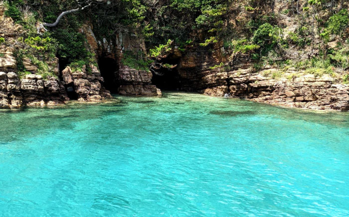 辰ノ島クルージング(辰ノ島遊覧)大人1名様分《壱岐市》【勝本町漁業協同組合】 [JFN002] 8000 8000円 8千円