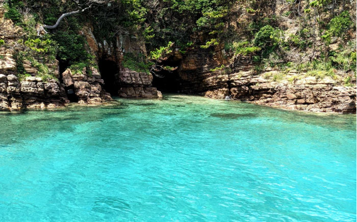 辰ノ島クルージング(辰ノ島遊覧)子ども1名様分《壱岐市》【勝本町漁業協同組合】 [JFN005] 5000 5000円 5千円