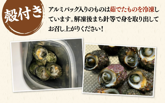 【年内発送】ボイル ミナ貝 450g（殻付き300g・殻剥き150g）《壱岐市》【鈴の海庭】 貝 魚貝 海産物 ボイル 刺身 小分け おつまみ サザエ ニナ貝 シッタカ [JFV001]